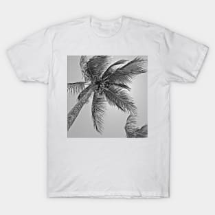 Kimi Palms T-Shirt